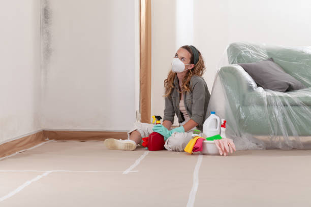 Reliable Mold Remediation contractor in Stratford, NJ by Car Mold Remediation